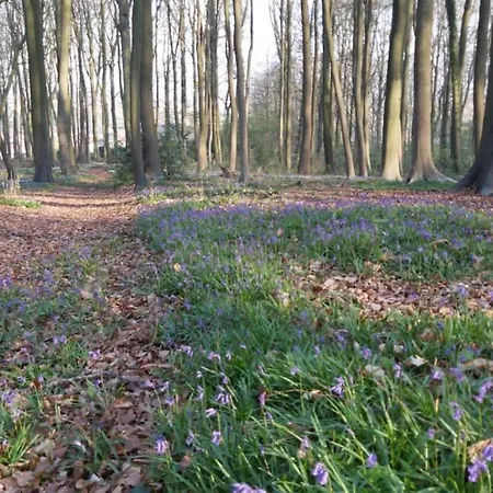 Al 't Sanna Apartamento Geraardsbergen